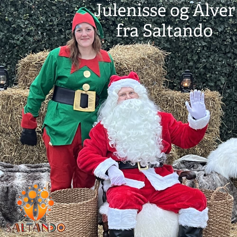 Nisse og alver